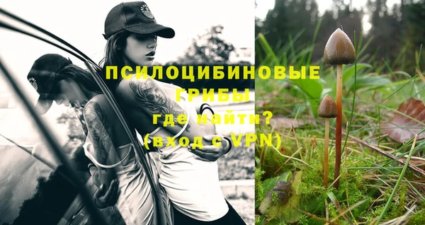 а пвп мука Переславль-Залесский